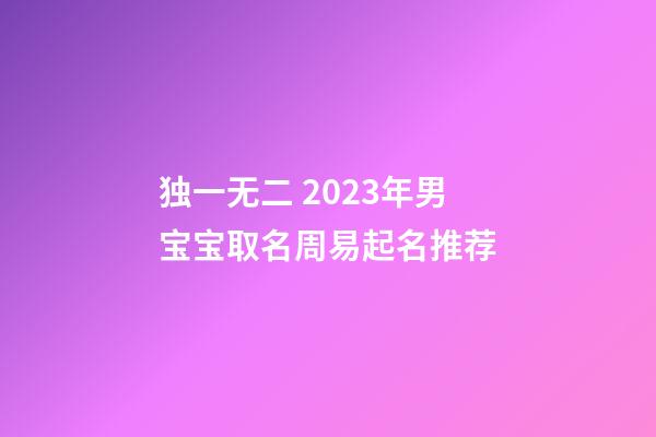 独一无二 2023年男宝宝取名周易起名推荐